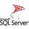 SAS Solutions & Consulting 13 Microsoft SQL Server 1